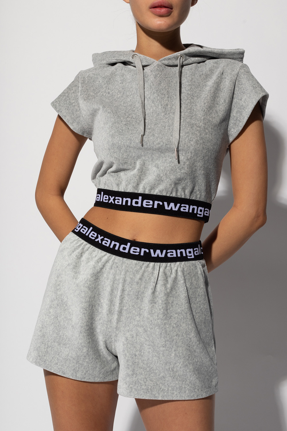 Alexander wang cropped discount sweatshirt